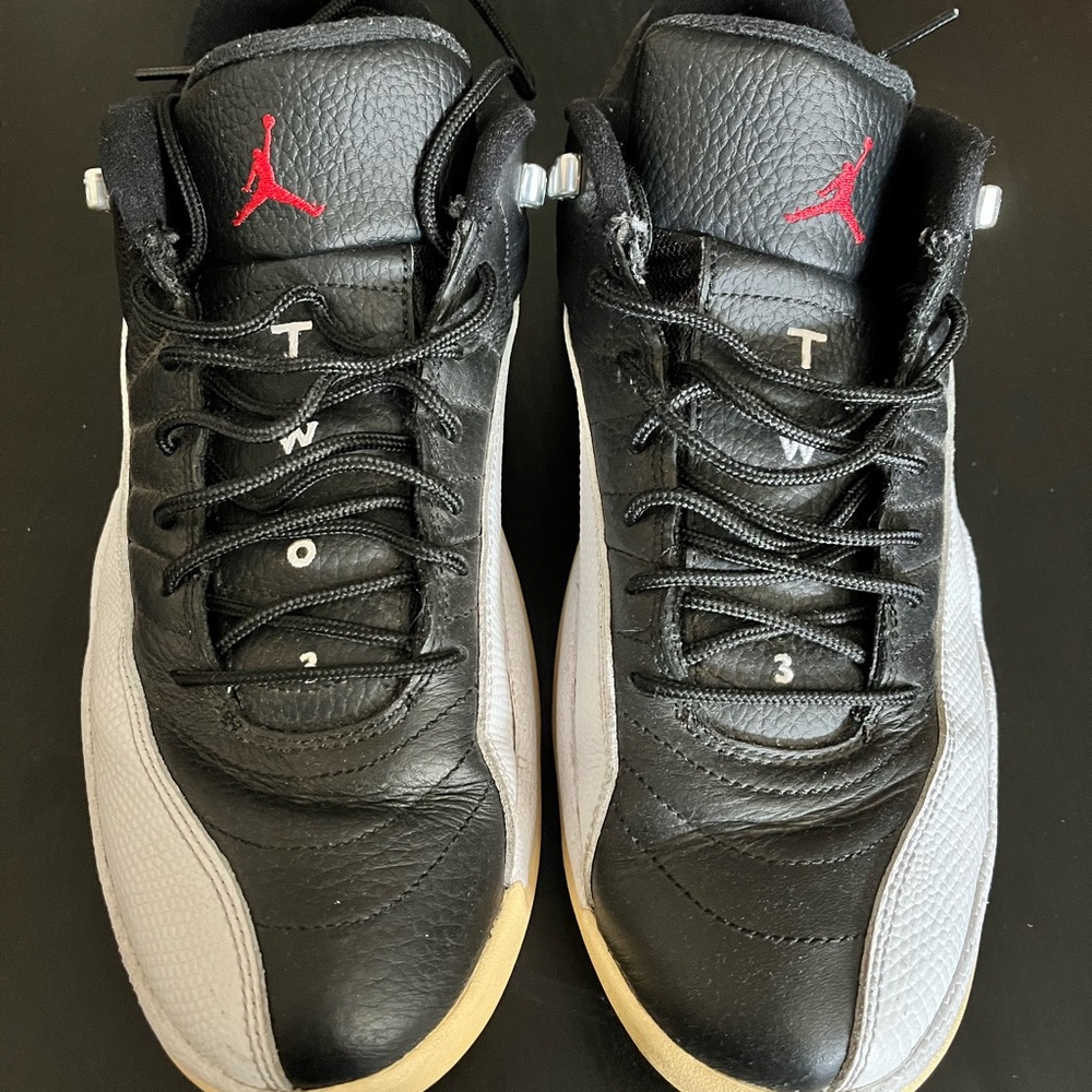 Mens size 11 Jordan 12